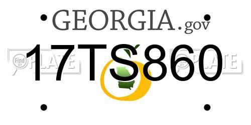 17TS860 Georgia License Plate