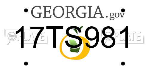 17TS981 Georgia License Plate