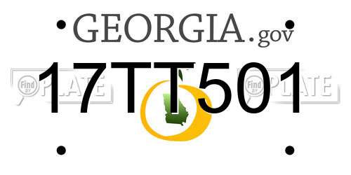 17TT501 Georgia License Plate