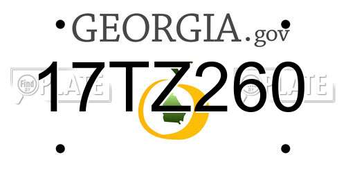 17TZ260 Georgia License Plate