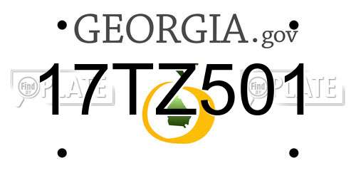 17TZ501 Georgia License Plate