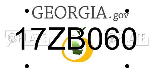 17ZB060 Georgia License Plate