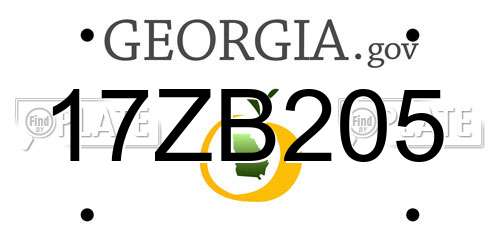 17ZB205 Georgia License Plate