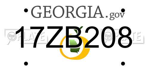 17ZB208 Georgia License Plate