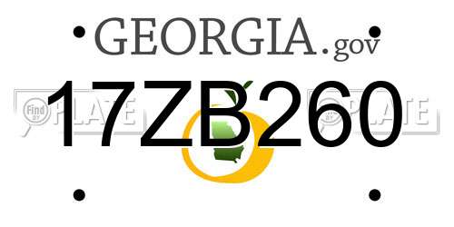 17ZB260 Georgia License Plate
