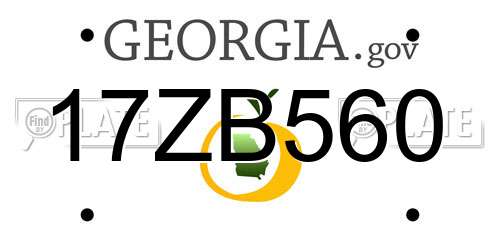 17ZB560 Georgia License Plate