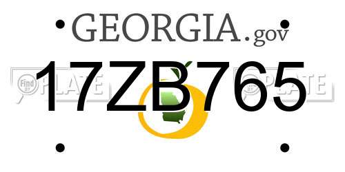 17ZB765 Georgia License Plate