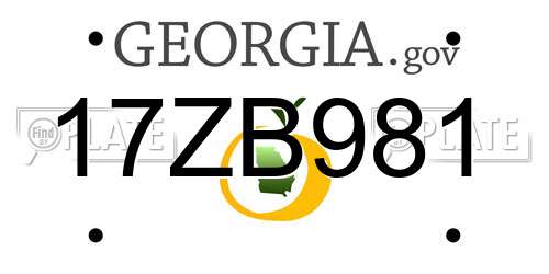 17ZB981 Georgia License Plate