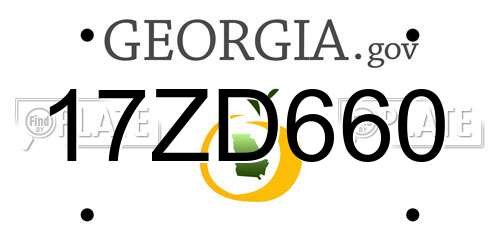 17ZD660 Georgia License Plate