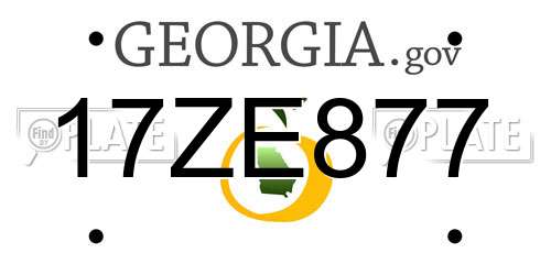 17ZE877 Georgia License Plate