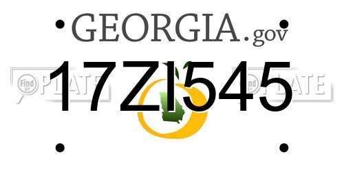 17ZI545 Georgia License Plate