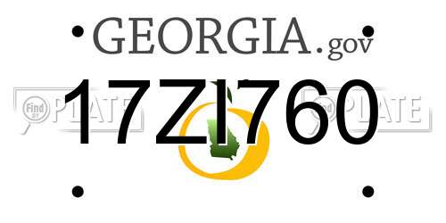 17ZI760 Georgia License Plate