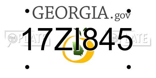 17ZI845 Georgia License Plate