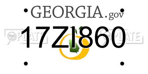 17ZI860 Georgia License Plate