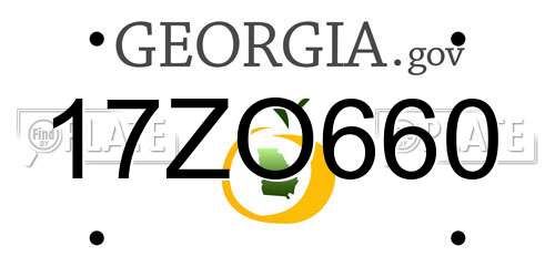 17ZO660 Georgia License Plate