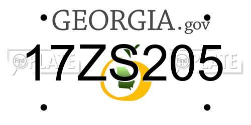 17ZS205 Georgia License Plate