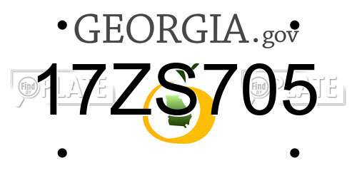 17ZS705 Georgia License Plate