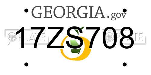 17ZS708 Georgia License Plate