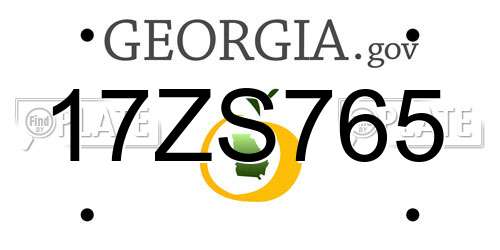 17ZS765 Georgia License Plate
