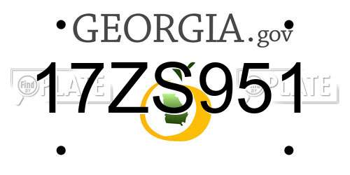17ZS951 Georgia License Plate