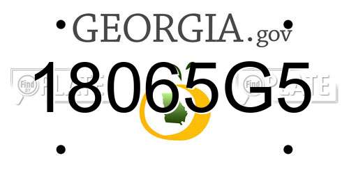 18065G5 Georgia License Plate