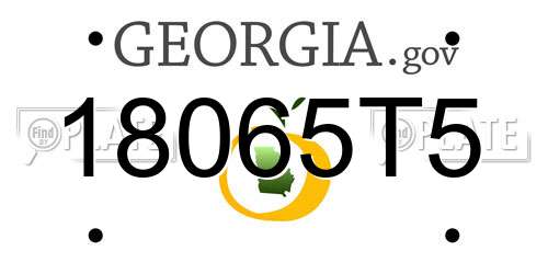 18065T5 Georgia License Plate