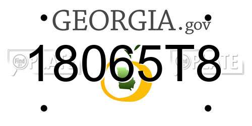 18065T8 Georgia License Plate