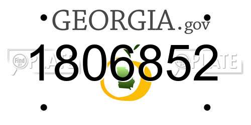 1806852 Georgia License Plate