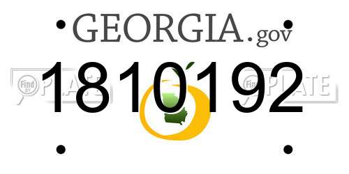 1810192 Georgia License Plate