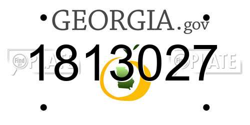 1813027 Georgia License Plate