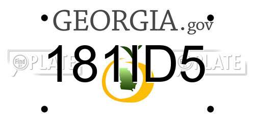181ID5 Georgia License Plate