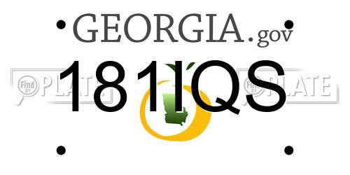 181IQS Georgia License Plate