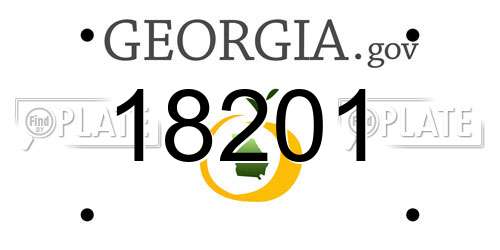 18201 Georgia License Plate