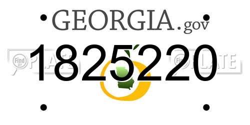1825220 Georgia License Plate