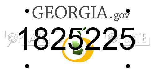 1825225 Georgia License Plate