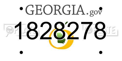 1828278 Georgia License Plate