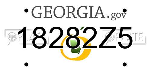 18282Z5 Georgia License Plate