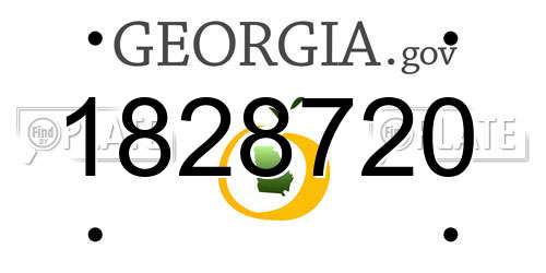 1828720 Georgia License Plate