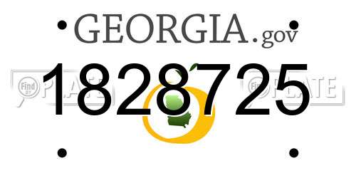 1828725 Georgia License Plate