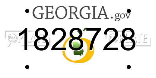 1828728 Georgia License Plate