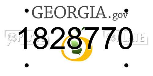 1828770 Georgia License Plate
