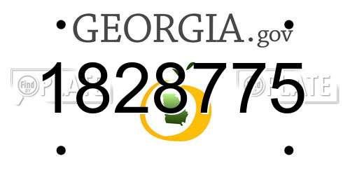 1828775 Georgia License Plate