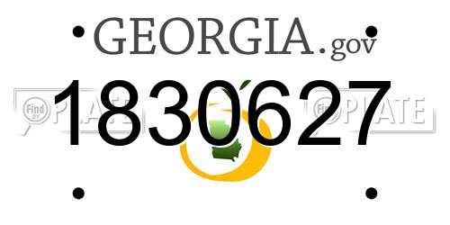 1830627 Georgia License Plate