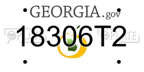 18306T2 Georgia License Plate
