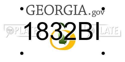 1832BI Georgia License Plate