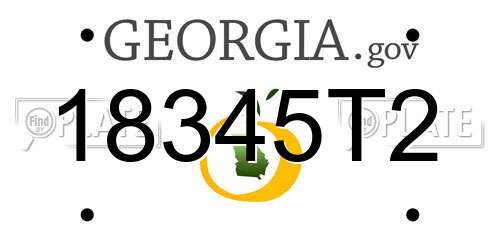 18345T2 Georgia License Plate