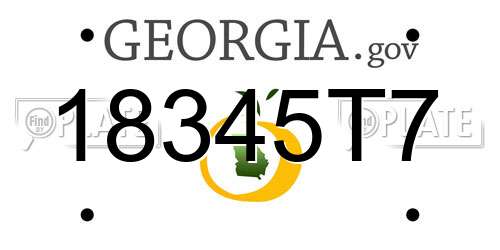 18345T7 Georgia License Plate