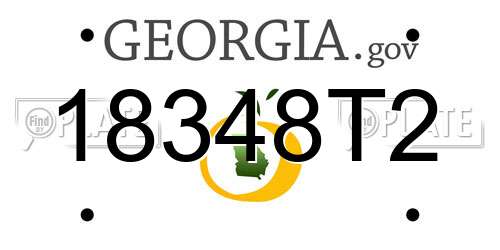 18348T2 Georgia License Plate