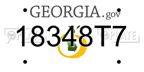 18348T7 Georgia License Plate