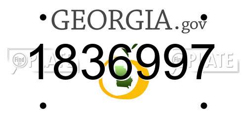 1836997 Georgia License Plate